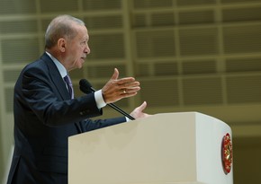 Erdogan: Türkiye welcomes ceasefire between Pakistan and India