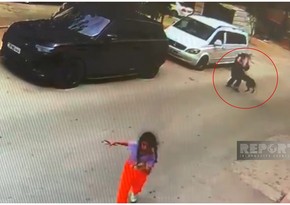 В Джейранбатане бродячая собака напала на женщину с внучкой, пострадавшую госпитализировали
