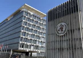Глава ВОЗ: На юге Газы осталась единственная рабочая государственная больница