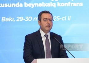 Head of OIC Labor Center: Inclusivity should be pursued in social protection field